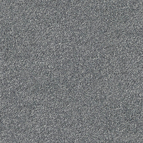 Apollo Plus Carpet
