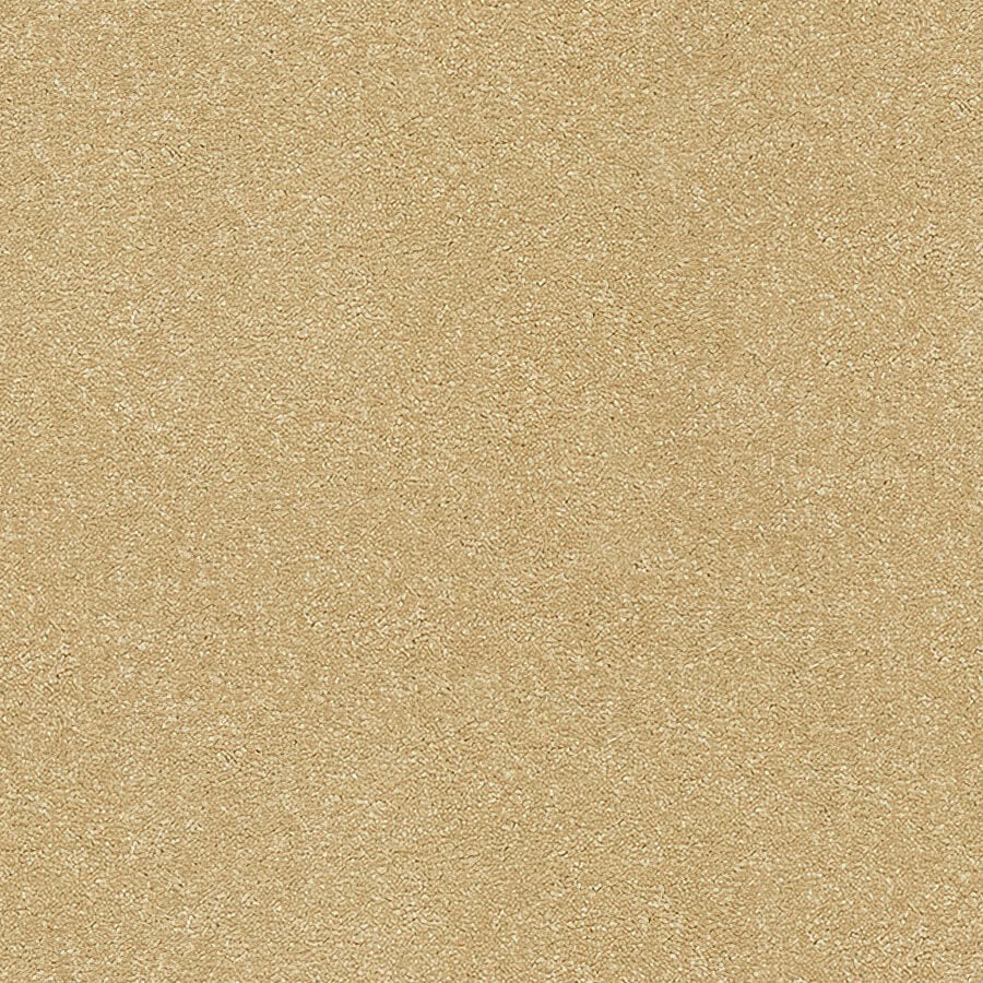 Stainfree Twist Carpet
