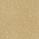 Stainfree Twist Carpet