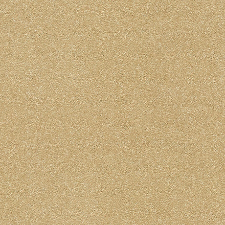 Stainfree Twist Carpet