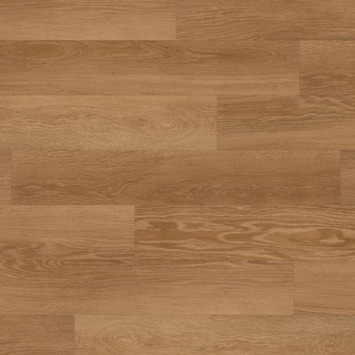 Karndean Knight Tile Gluedown Honey Limed Oak KP155