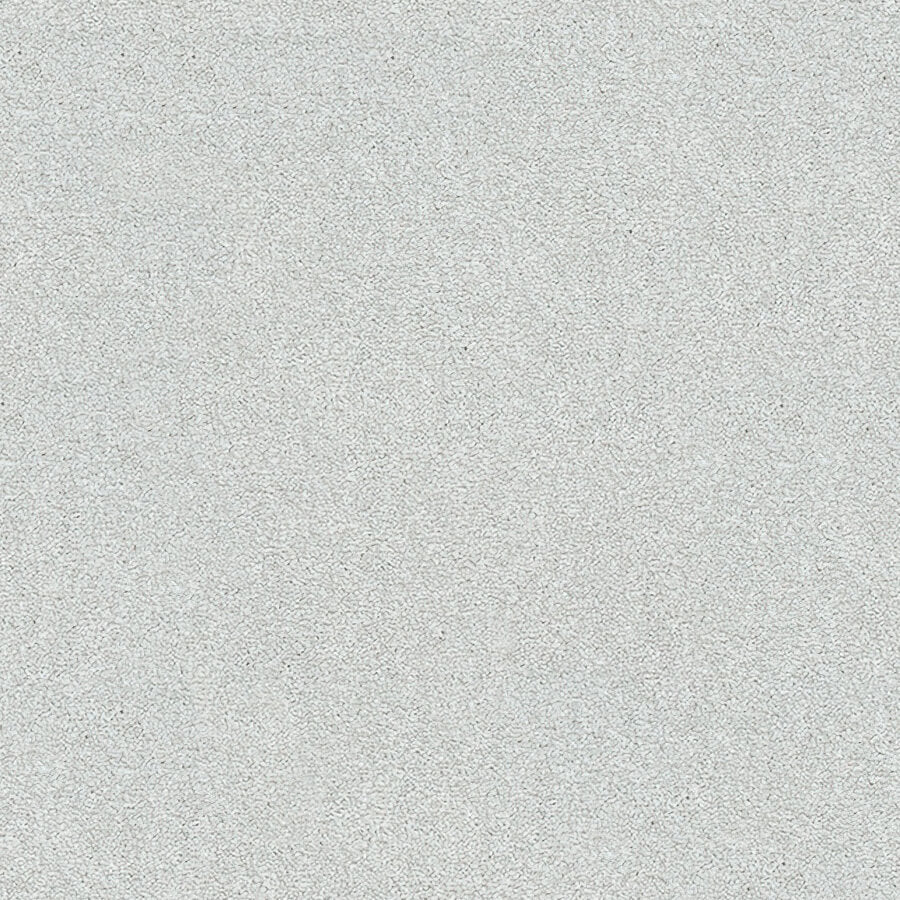 Stainfree Twist Carpet