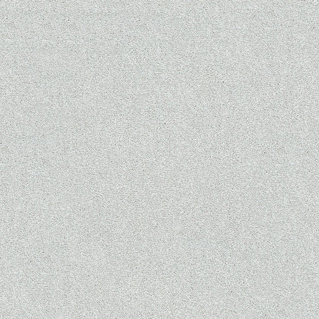 Stainfree Twist Carpet