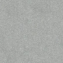 Stainfree Ultra Carpet
