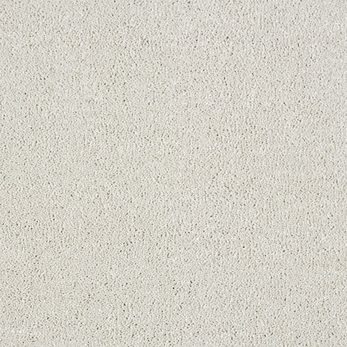 Indulgence Carpet