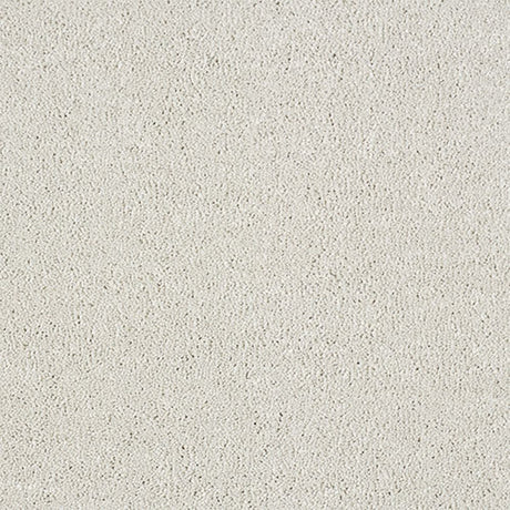 Indulgence Carpet