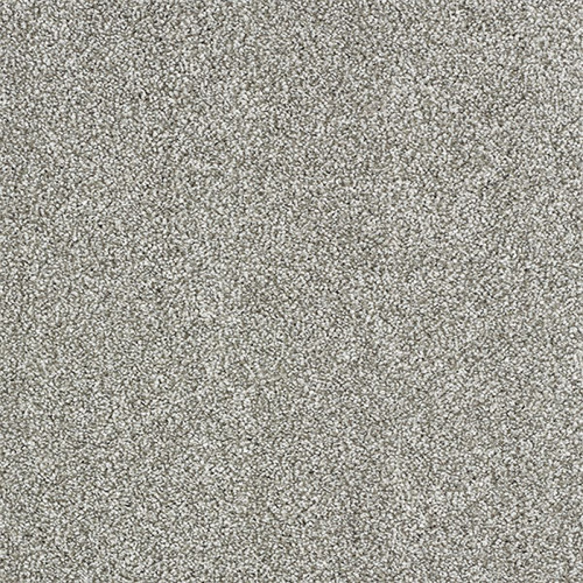 Indulgence Carpet