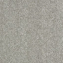 Indulgence Carpet
