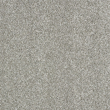 Indulgence Carpet