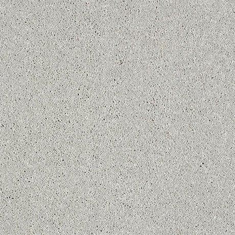 Indulgence Carpet