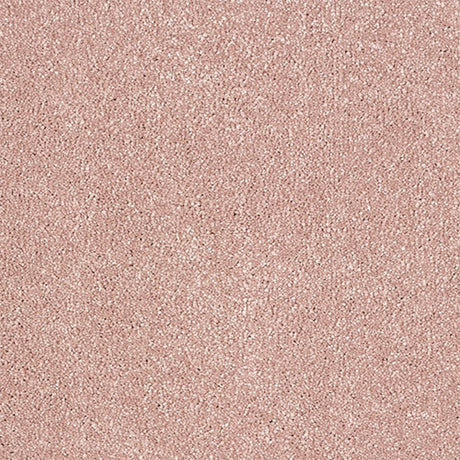 Indulgence Carpet
