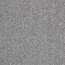 Indulgence Carpet