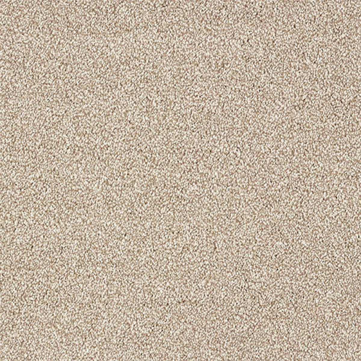 Indulgence Carpet