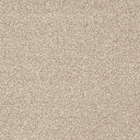 Indulgence Carpet