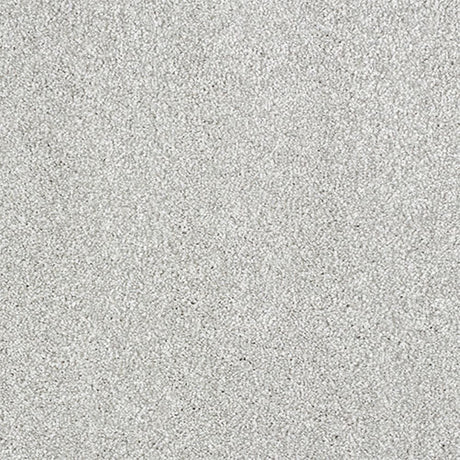 Indulgence Carpet
