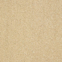 Indulgence Carpet