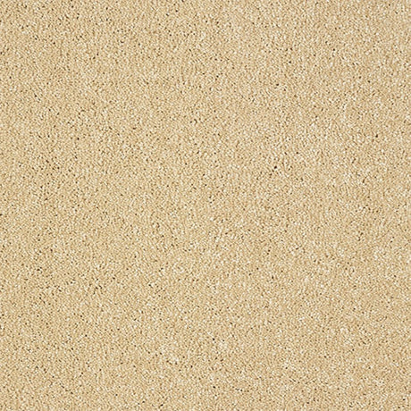 Indulgence Carpet