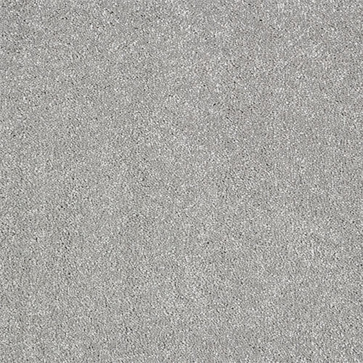 Indulgence Carpet