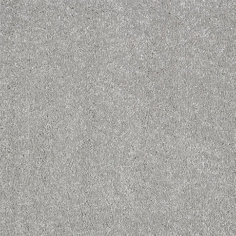 Indulgence Carpet