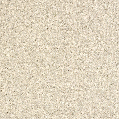 Indulgence Carpet