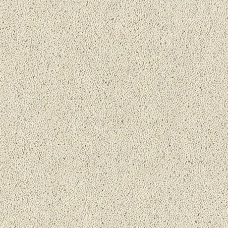 Royal Charter Deluxe Carpet