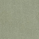 Stainfree Ultra Carpet