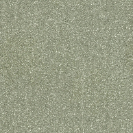 Stainfree Ultra Carpet