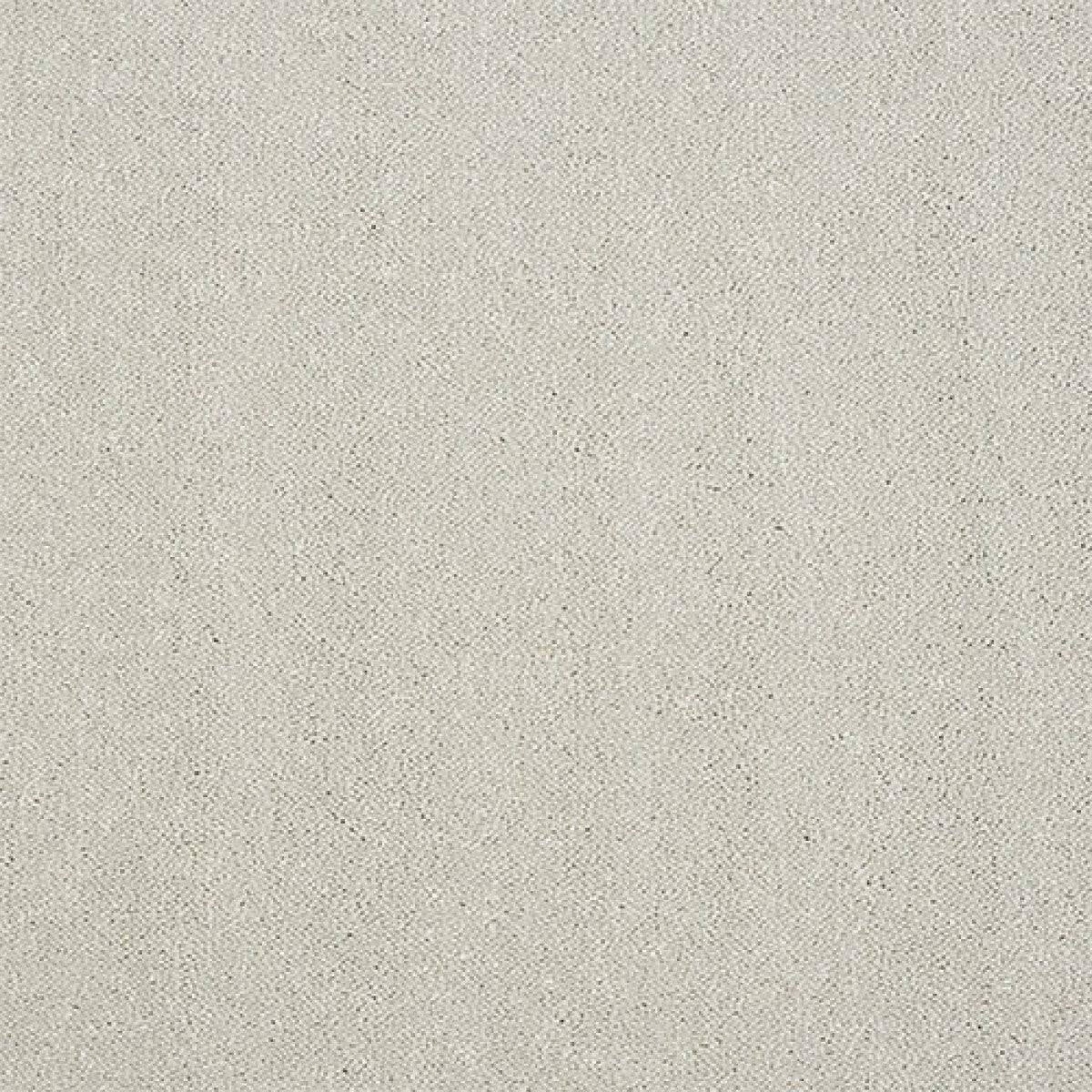 Captivation Carpet