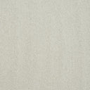 Captivation Carpet