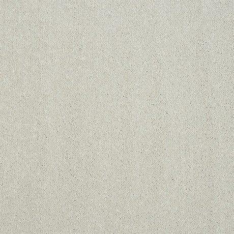 Captivation Carpet