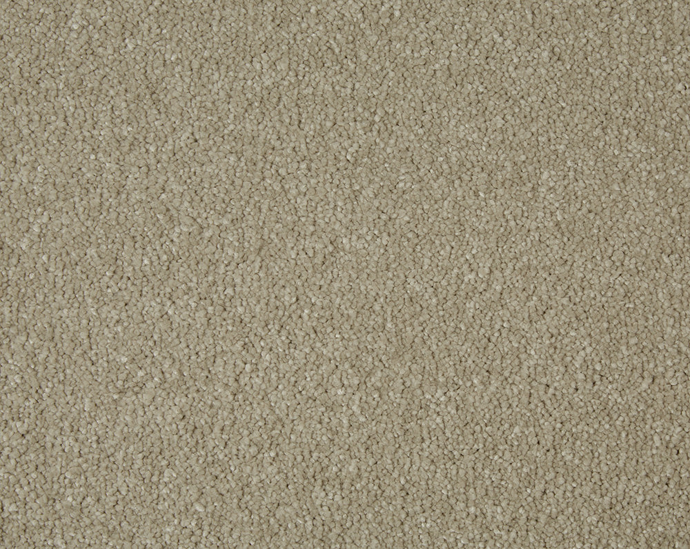 Sensation Carpet