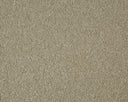 Sensation Carpet