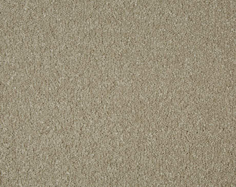 Sensation Carpet