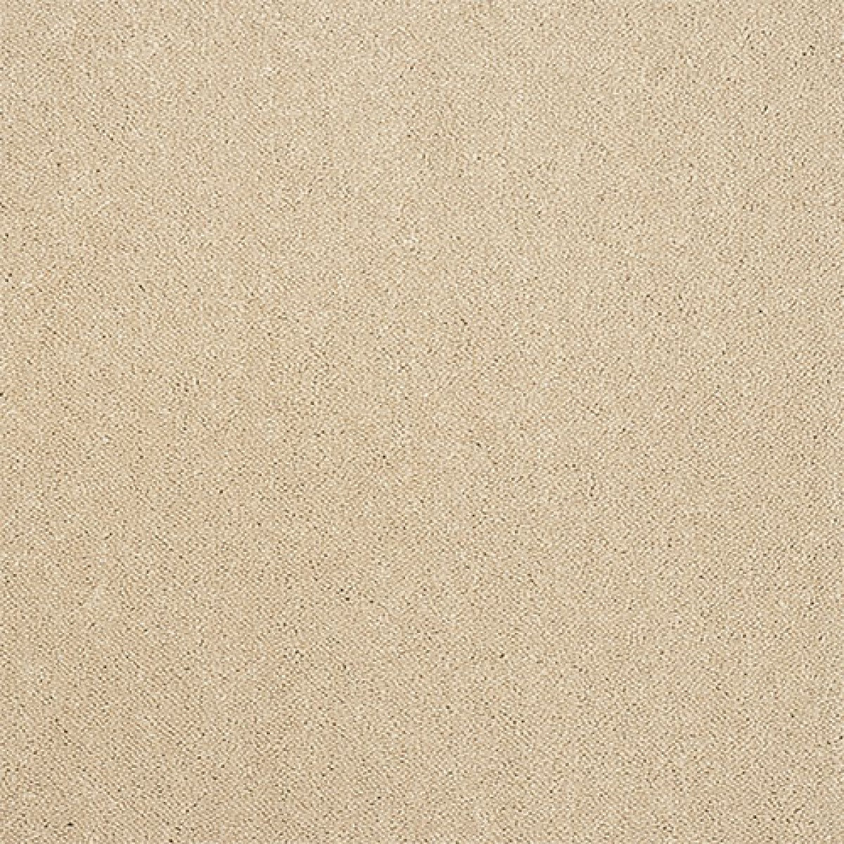 Captivation Carpet