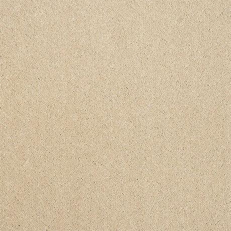 Captivation Carpet