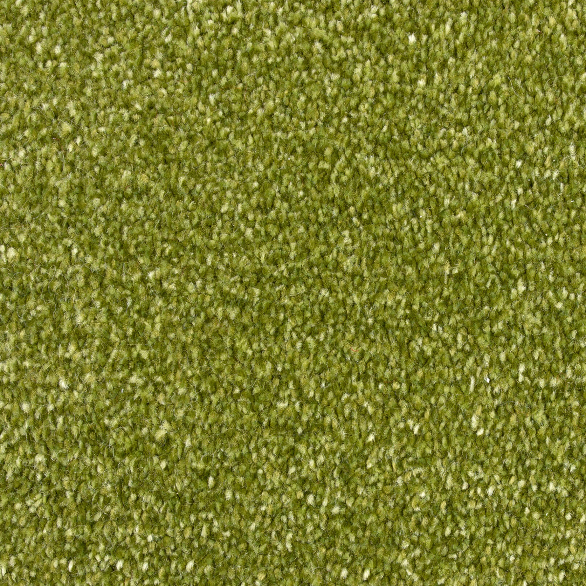 Logan Saxony 313 Lime (4.40m x 4.00m) M016263