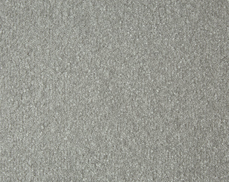 Sensation Carpet