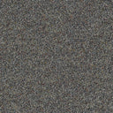 Wild Silk Carpet