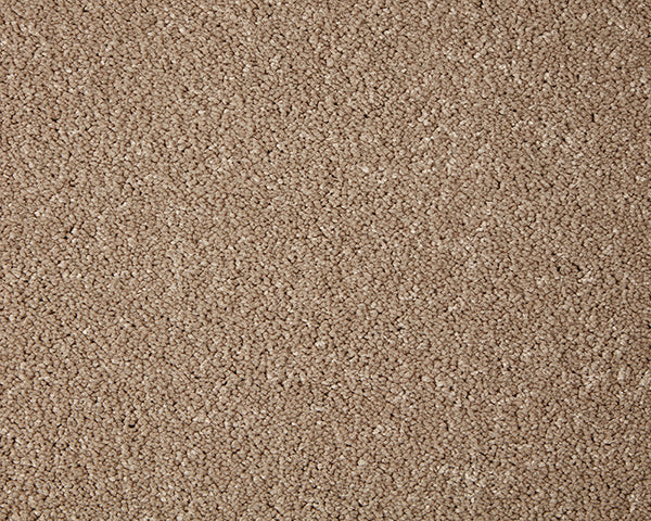 Primo Grande Carpet