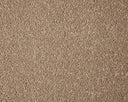 Primo Grande Carpet