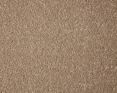 Primo Grande Carpet