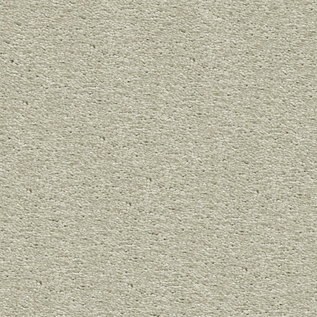 Magnificus Saxony Carpet