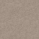 Magnificus Saxony Carpet