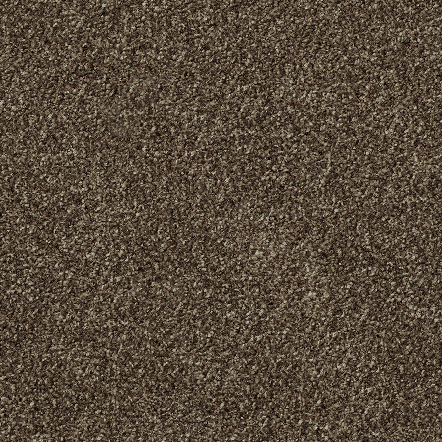 Apollo Plus Carpet