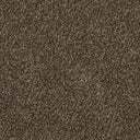Apollo Plus Carpet
