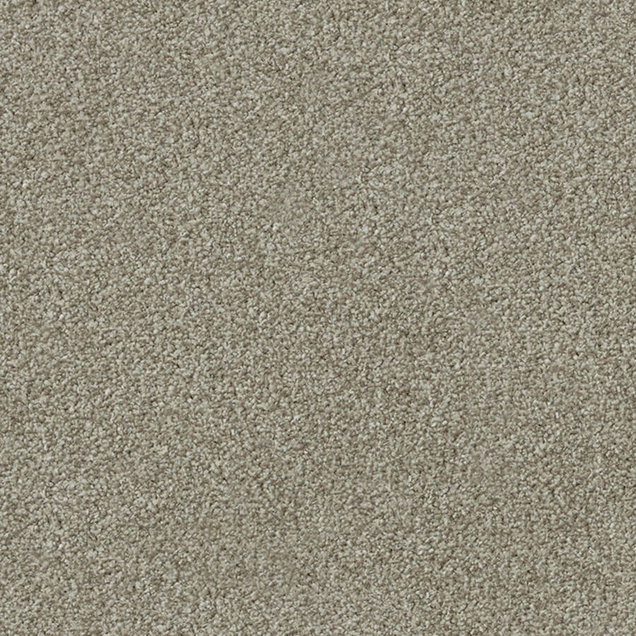 Apollo Plus Carpet