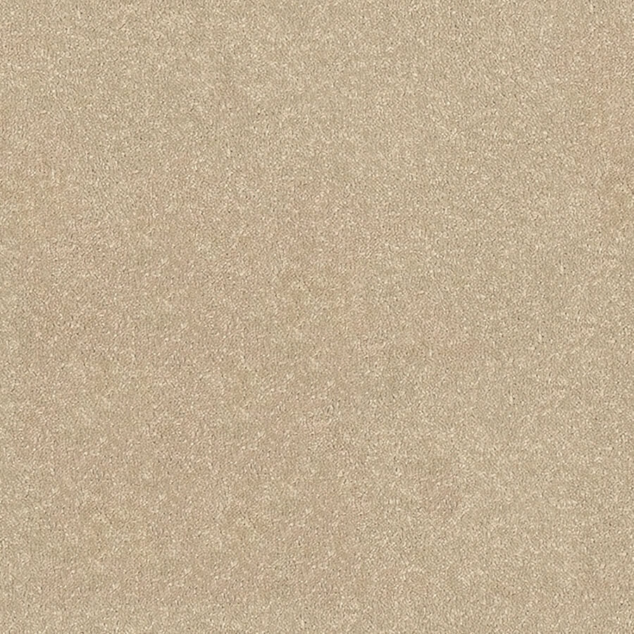 Stainfree Ultra Carpet