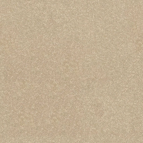 Stainfree Ultra Carpet