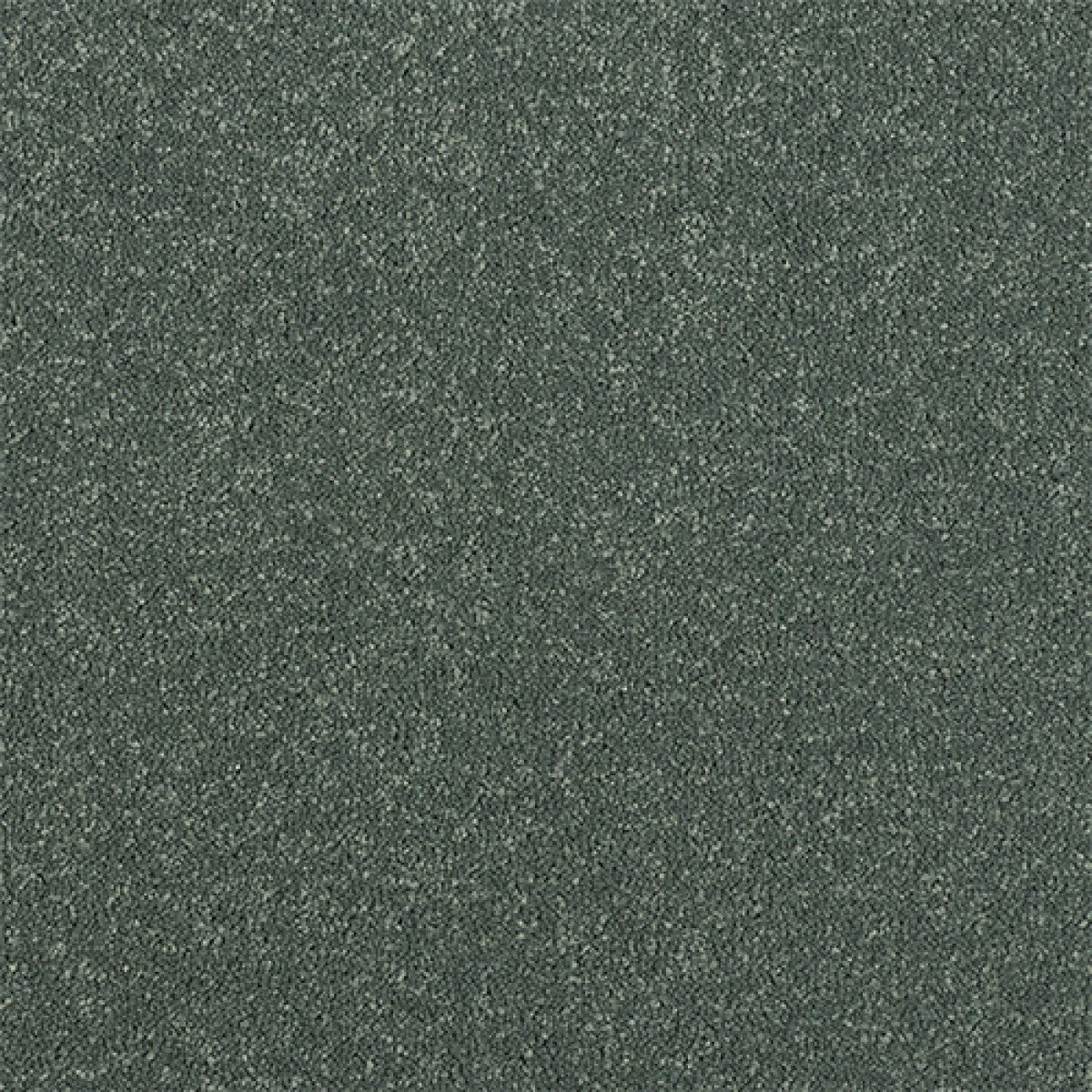 Maximus Carpet