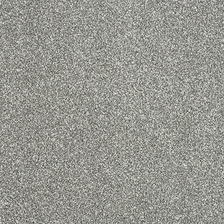 Maximus Carpet